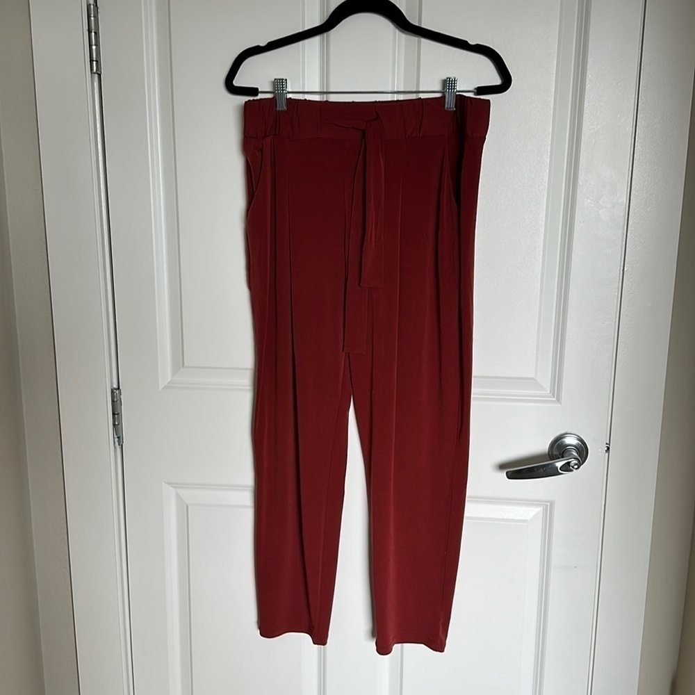 Burnt orange, stretchy, taper ankle pant express size medium